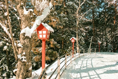 雪地上的红白木柱